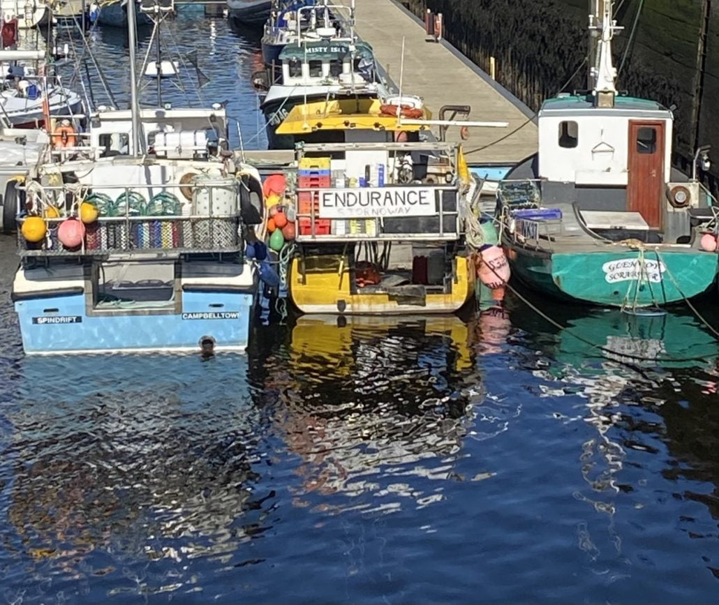 Ian WI June 2022 Newsletter 1